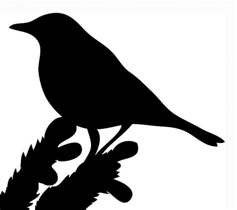 Free download 33 best quality bird silhouette on branch at getdrawings. Bird Silhouettes