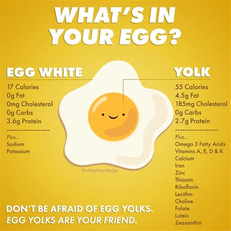 The Benefits Of Egg Yolks