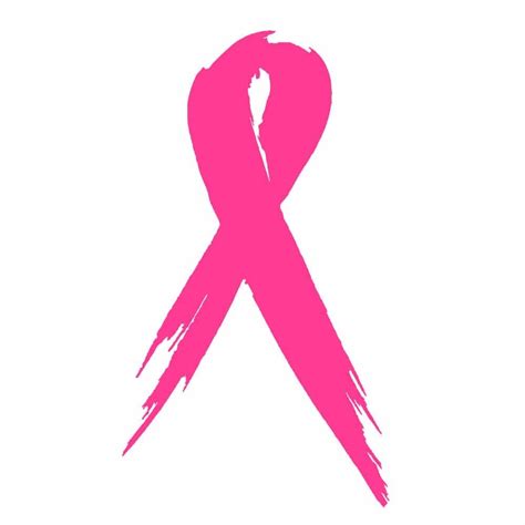 Breast Cancer Awareness Ribbon Car Decal Vinyl Sticker 3x5 Fuchsia