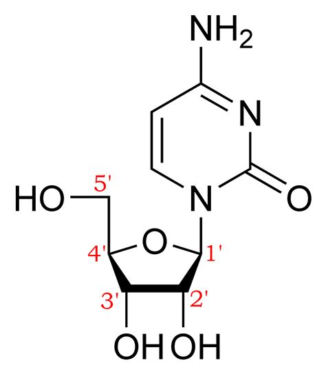 Nucleic acids are mainly of two types: Nucleic acid nomenclature - Wikipedia