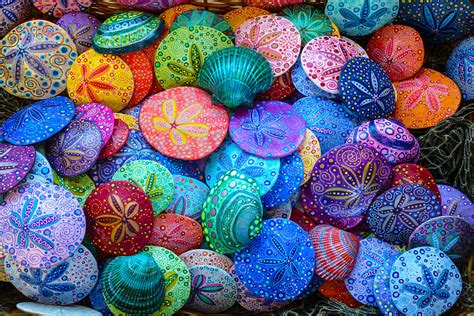Colorful Sand Dollars Photograph By George Herbert