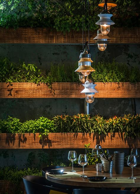Aprons, chef uniforms, napkins & tablecloths, and kitchen towels. The Plants In This Restaurant Are Herbs That The Chef Uses ...
