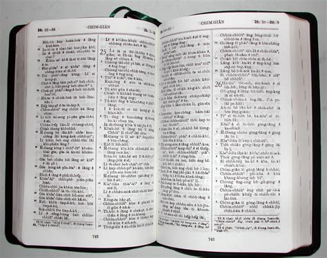 Filetaiwanese Bible Chim Gian 1933 Wikimedia Commons