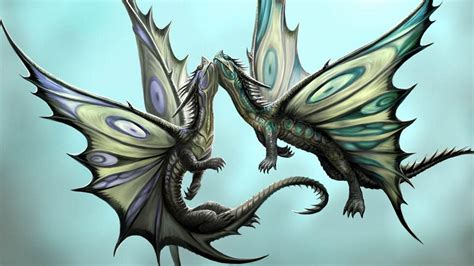 Dragon Love Wallpapers Top Free Dragon Love Backgrounds Wallpaperaccess