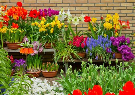 Master gardener maureen farmer gives tips just on when to start growing vegetables this spring! June 6th, 2017 National Gardening Exercise Day