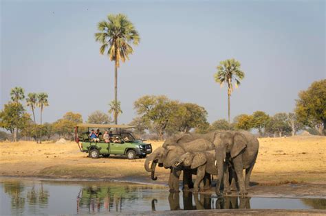 Davisons Camp 10 Day Zimbabwe Safari Moriti Private Safaris