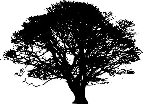 Clipart Tree Silhouettes
