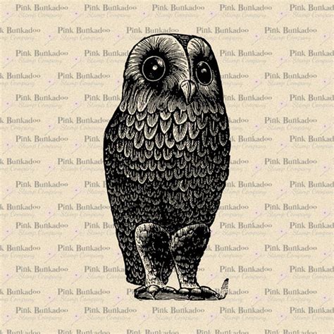Printable Instant Download Creepy Owl Vintage Clip Art Etsy