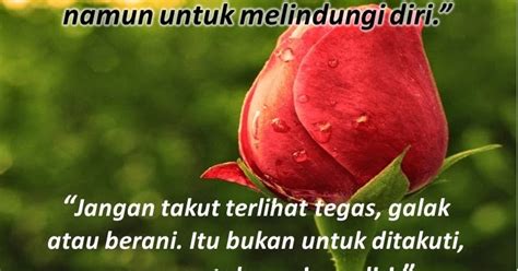 A flower cannot blossom without sunshine, and man cannot live without love setangkai bunga tidak dapat. Paling Bagus 28+ Quotes Tentang Bunga Mawar Yang Layu ...