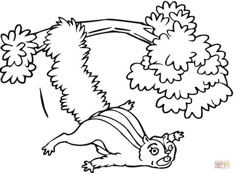 Gambar Cute Flying Squirrel Coloring Page Free Printable Pages Tree Di