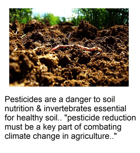 Pesticides Pose A Great Danger To The Health Of Our Planet S Soil But