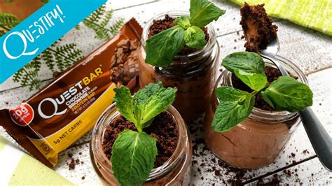 But with its creamy texture and richness, you'd never know it was made with healthy ingredients! PROTEIN Chocolate Mousse Potted Plant - Questify - YouTube