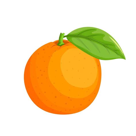 Orange Citrus Cartoon Vector Illustration 17416187 Vector Art At Vecteezy