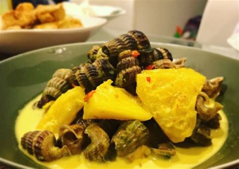 Check spelling or type a new query. Resepi 1 Kilo Siput Lemak Cili Padi - 8 Resepi Pelbagai ...