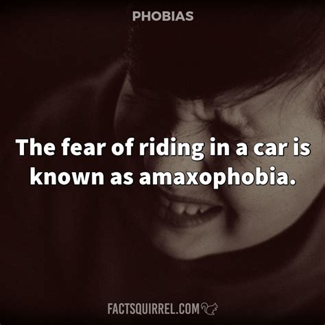 The Fear Of Riding In A Car Is Known As Amaxophobia Fact Squirrel