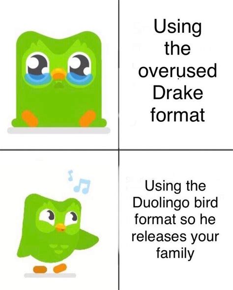 Meme Memes Duolingo 317938021290201 By Localgrownmeme