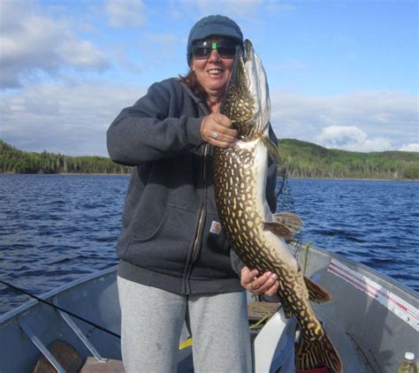 Bow Narrows Camp Blog On Red Lake Ontario The Rest Of The Group Caught