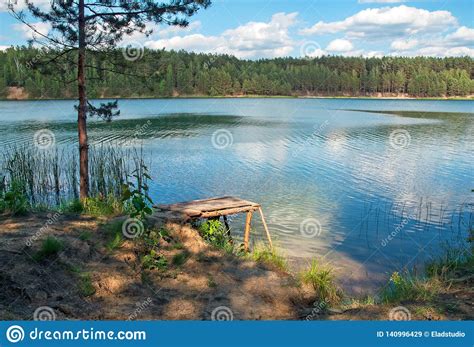 View Of The Lake In A Pine Forest Stock Image Image Of