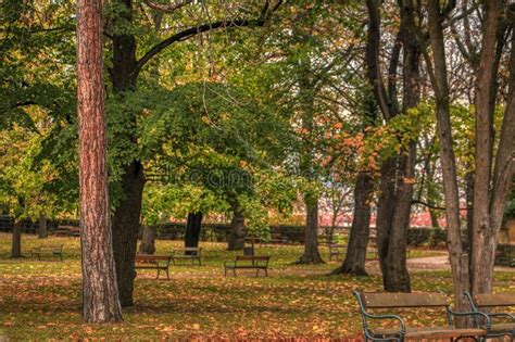 Autumn View Of Benches In Europe Stock Photo Image Of Outdoors