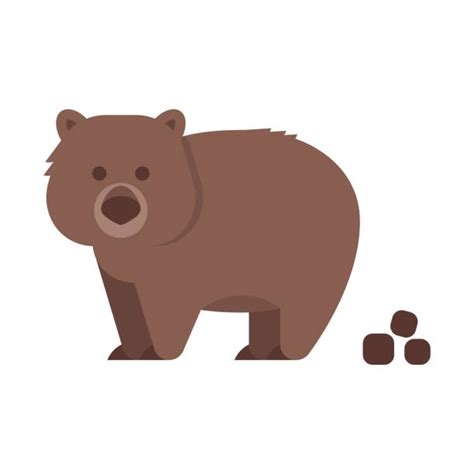 Wombat Cartoon Illustrations Royalty Free Vector Graphics And Clip Art