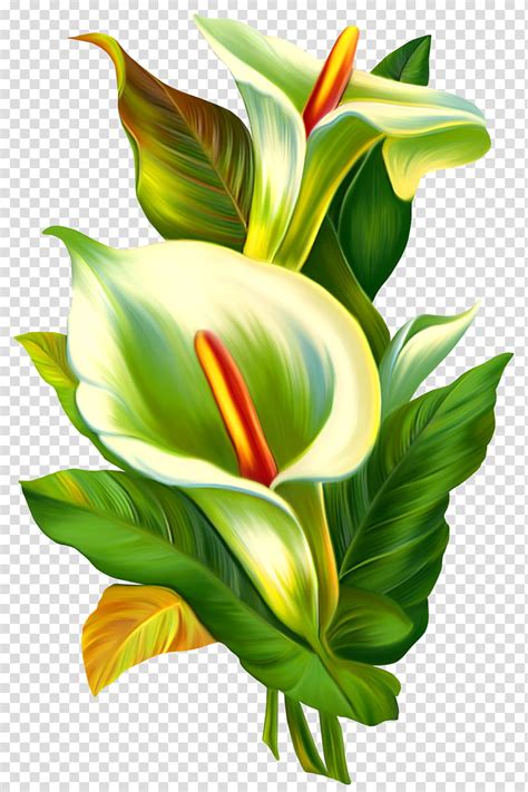 If you love this results about background, remember clipartmax and share us to your friends. FLORES VINTAGE , green flowers transparent background PNG ...
