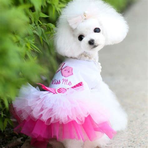 Besufy Pet Dresssummer Cat Puppy Lip Dress Tutu Clothes T Shirt