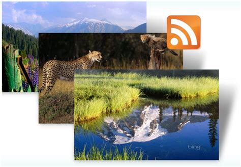 Bing Dynamic Theme Brings Fresh Bing Wallpapers To Windows