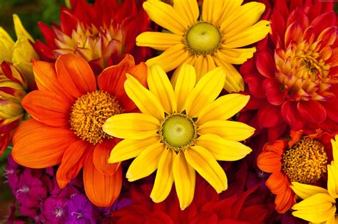 Fall Floral Wallpapers Top Free Fall Floral Backgrounds Wallpaperaccess