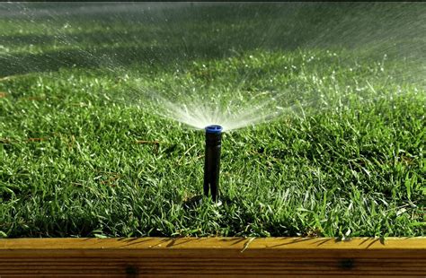 35 Easy Ways To Save Water Around The House Install It Direct 2022