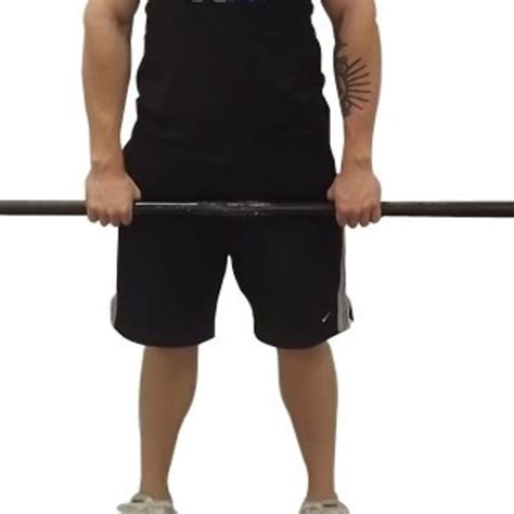 Forearm Flexorextensor Barbell Roll Exercise How To Workout