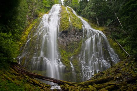 Proxy Falls Lane County Oregon Northwest Waterfall Survey