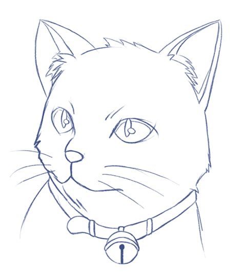 Como dibujar un rostro paso a paso. Cómo dibujar un Gato fácil realista paso a paso | Dibucorp