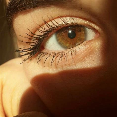 Pin De Vale En Ojos Fotografía De Los Ojos Fotos De Ojos Citas De