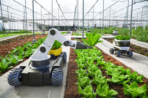 How Robots Are Used In Agriculture Parvalux