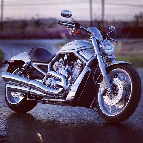 Harley Davidson Vrsc V Rod Harley Harley Davidson Motorcycle