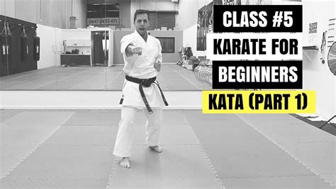 The Beginners Guide To Shotokan Karate English Edition Free Epub New