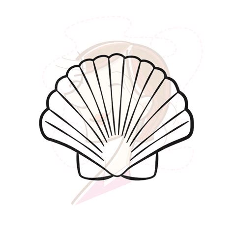 Scallop Drawing Free Download On Clipartmag