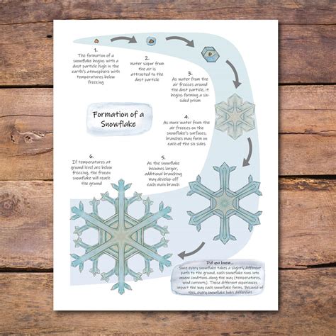 Snowflake Formation Poster How Snowflakes Form An Etsy 日本