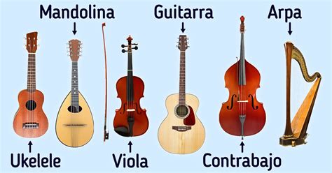 Guía De Instrumentos Musicales De Cuerda Ideas En 5 Minutos