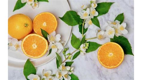 national orange blossom day 2023 us facts dates and history