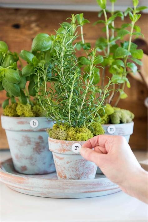 Make New Pots Look Old For A Cottage Style Countertop Herb Garden
