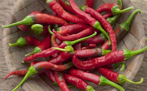 Health Benefits Of Spicy Food Healthysurveys