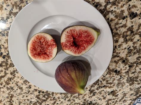 Fresh Figs From My Tree Ive Never Had Fresh Figs Before How Do