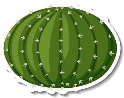 Planta De Cactus Saguaro Sobre Fondo Blanco 4646069 Vector En Vecteezy