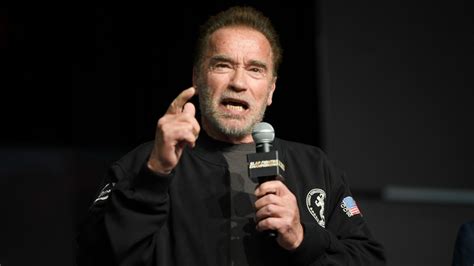 Arnold Schwarzenegger Gives A Twins Sequel Update Parade