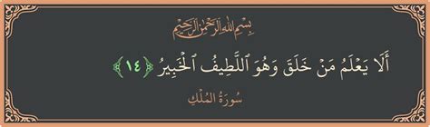 Verse 14 Surah Al Mulk ألا يعلم من خلق وهو اللطيف الخبير
