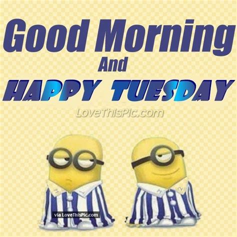 Good Morning Happy Tuesday Minion Quote Pictures Photos And Images
