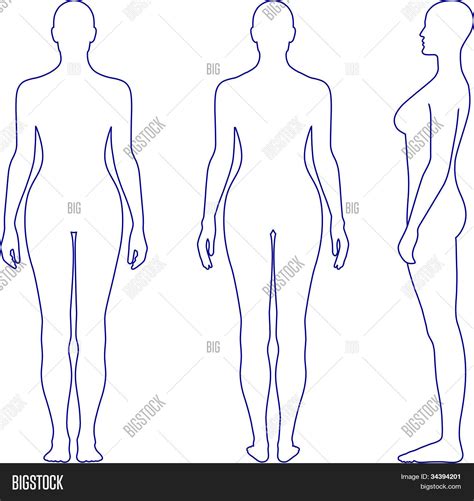 Naked Standing Woman Vector Photo Free Trial Bigstock