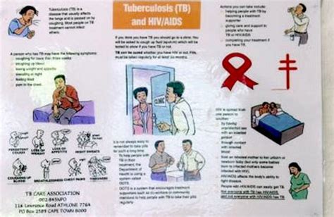 An estimated 60 million lives were saved through tb diagnosis and treatment between 2000 and 2019. HIV infection does not compromise multidrug-resistant TB ...