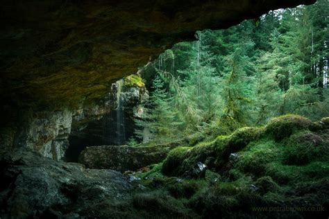 Forest Cave Forest Scenery Landscape